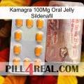 Kamagra 100Mg Oral Jelly Sildenafil new13